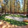 Bearadise Property Management