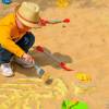 Fossil Finding