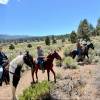 Starlight Equestrian Ranch Inc.