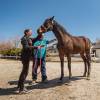 Starlight Equestrian Ranch Inc.