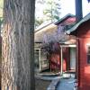 Cozy Hollow Lodge & Vacation Rentals