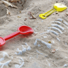Fossil Finding