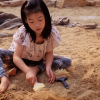 Fossil Finding