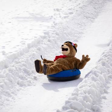A person wearing a bear mascot suit riding on top of an inner tube racing down a snow covered slope.