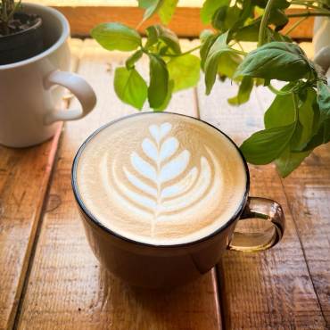 A latte inside a coffee cup on a wooden counter - there is foam art in the shape of wheat.