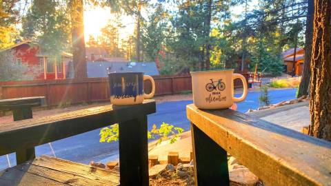 Two decorated mugs placed on chairs at a cabin - the sunshine is beaming through the trees and leaves, onto the mugs.