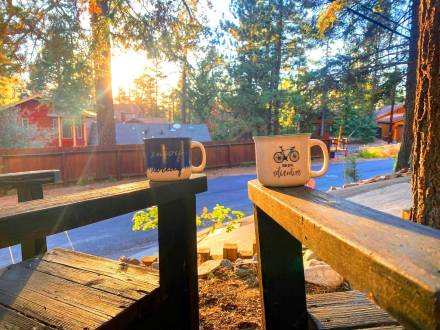 Two decorated mugs placed on chairs at a cabin - the sunshine is beaming through the trees and leaves, onto the mugs.