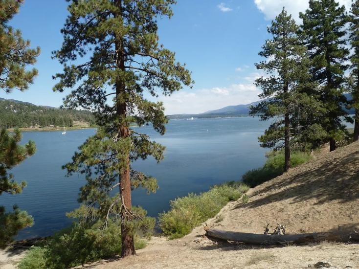 A ground-level view on Big Bear Lake's shoreline - there is a dirt slope leading to the waters and trees below.