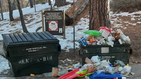 environmental cleanup with Nativescapes