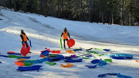 sustainability cleanup with Nativescapes