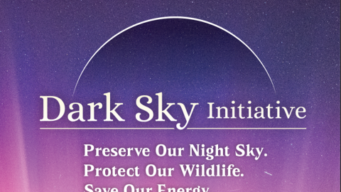 A digital version of a printable flyer for the Big Bear Dark Sky initiative - a call to preserve our Dark Night Skies.