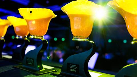 A line of orange Visit California Poppy Awards sit on a table at the 2022 Poppy Awards presentation.