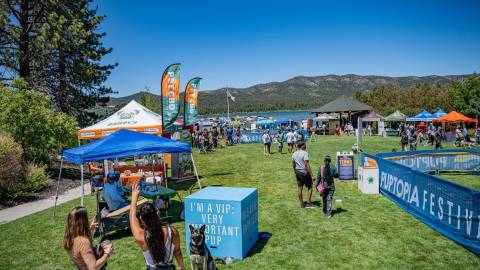 A photo of the Puptopia event with green grass, people talking, dogs with their owners, and vendors in the background.