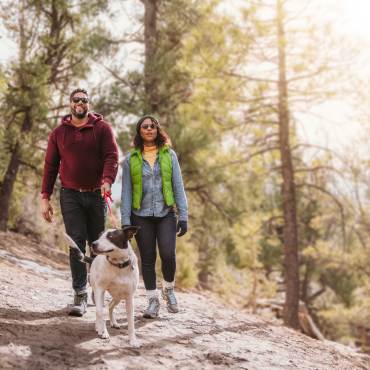 A couple walks their dog along a pet friendly trail in Big Bear Lake. The sun is shining and green pine trees surround them.