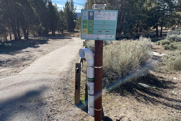 A fishing line disposal post in Big Bear Lake - the post is on a trail surrounded by trees and includes guide for eating fish