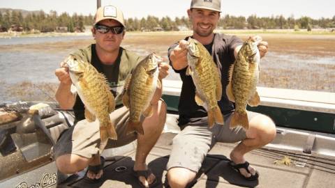 bass fishing in big bear lake