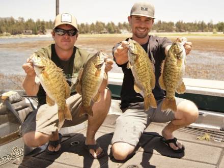 bass fishing in big bear lake