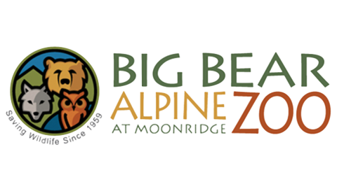 A digital logo for the Big Bear Alpine Zoo - the logo has a gray wolf, brown bear, and owl in a circular shape.