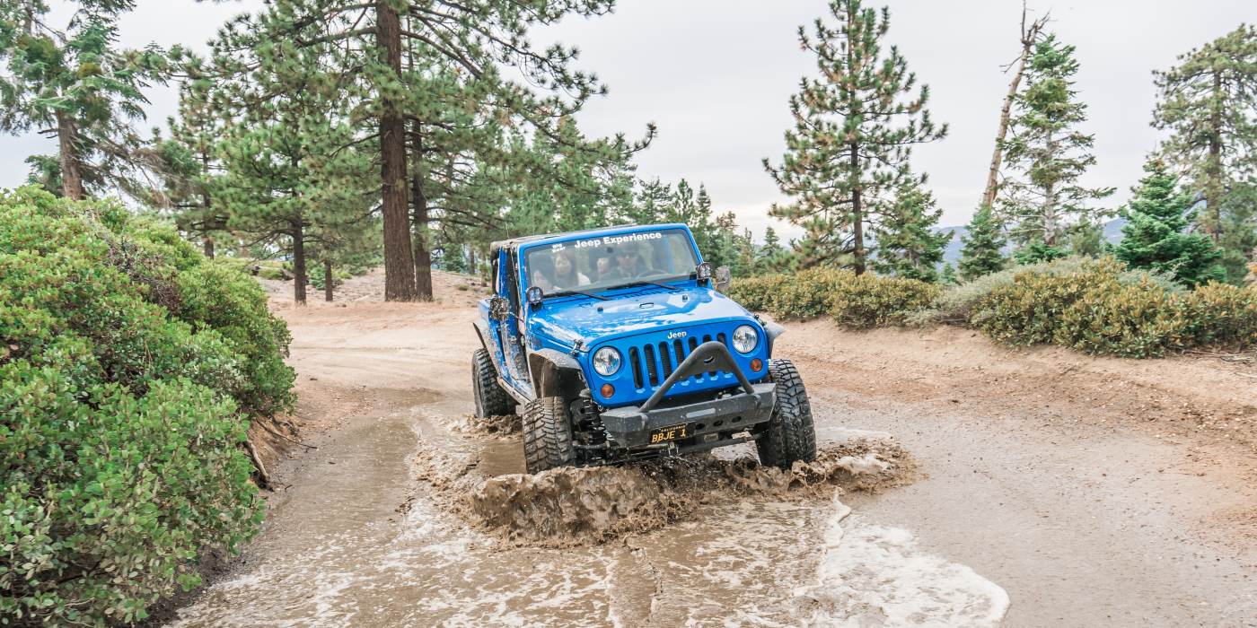 Off-Road Trails for Beginners  