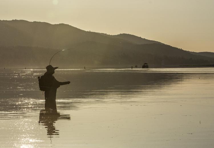 A wading angler patiently awaits his catch big bear lake