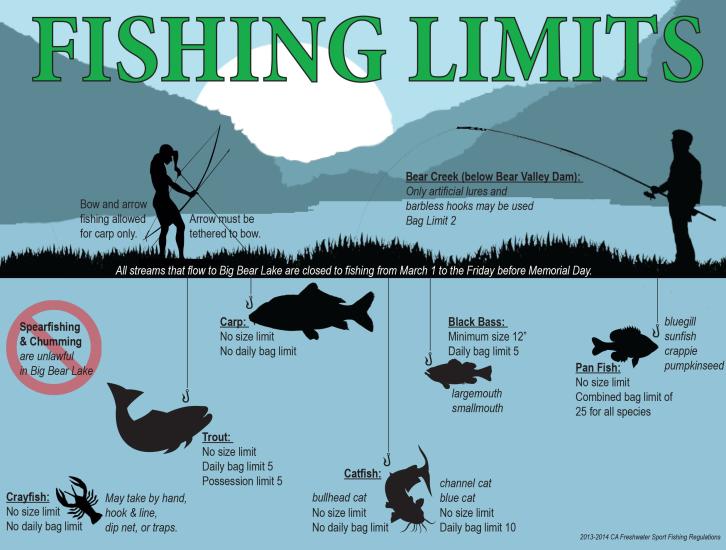 Big Bear Lake Fishing Limits infographic showing info about fishing limits for different species