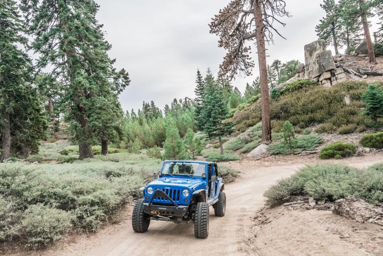 A blue Jeep drives through Big Bear forestry