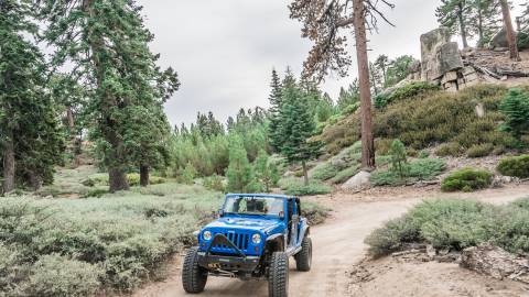 A blue Jeep drives through Big Bear forestry