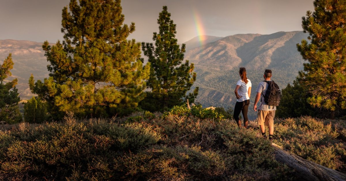 ビッグベアーです The Best Things to Do in Big Bear Lake, CA | Big Bear Lake, CA