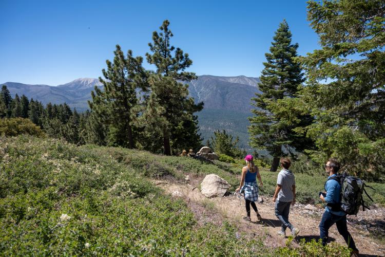 A family of three walks along a trail in Big Bear, CA. They are surrounded by a green, pine forest and the clear blue sky.
