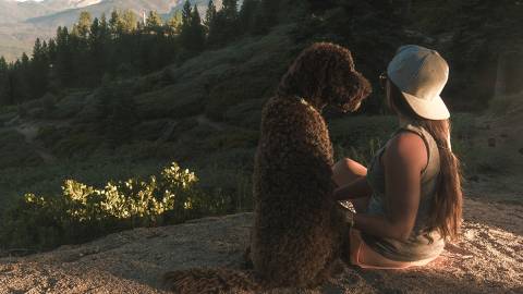 A woman sitting next to her dog on a Big Bear Hiking Trail at Snow Summit - the sunshine gently illuminating the ground.
