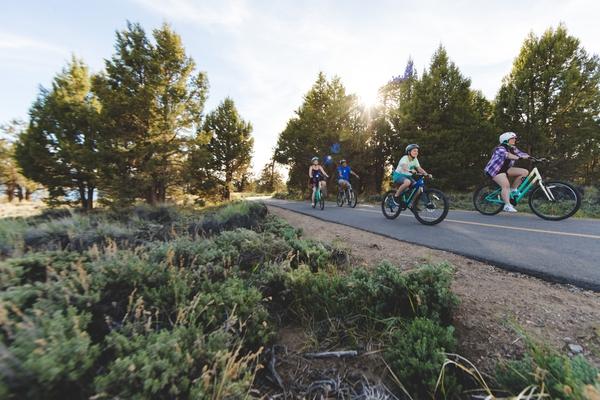 A family of two adults and two children biking on the road along side lush green trees and sunlight peaking through leaves.