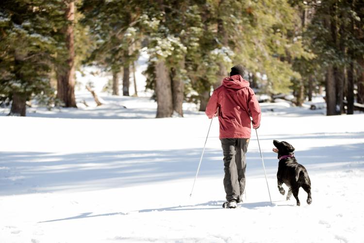 Snowshoe Big Bear in the winter months