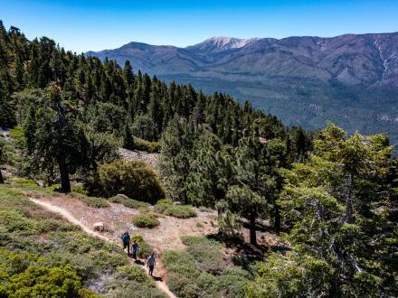 A family of three hikes along a forest trail in Big Bear Lake. Snow capped peaks show in the distance.