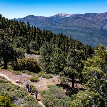A family of three hikes along a forest trail in Big Bear Lake. Snow capped peaks show in the distance.