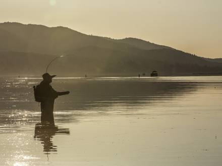 A wading angler patiently awaits his catch big bear lake