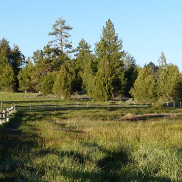 A photo of a lush green lakeside, there is a small wooden fence a medium sized distance away from the Big Bear Lake.