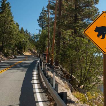 A photo of a bear crossing sign warning drivers of potential bear crossings on a road overlooking the Big Bear Lake.