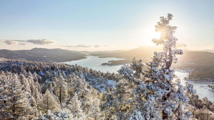 A snowy tree stands tall above a snowy Big Bear Lake valley.