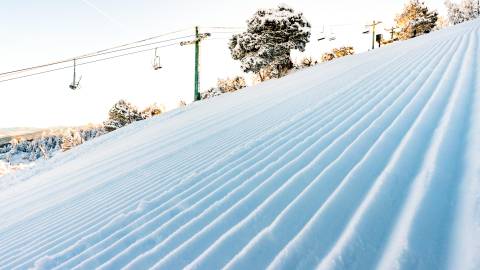 View of corduroy groomers on the slopes of Big Bear Mountain Resort with lifts in the distance.