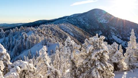Big Bear's snowy winter landscape