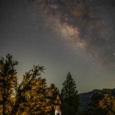 A person standing in the middle of a forest looking up towards the visible bright night stars, a galaxy accompanying them.