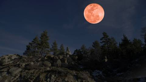 A photo of a large red-ish pink blood moon above a dense forest and a small rocky hill.
