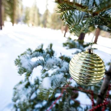 close-up of ornaments hanging on a snow-covered pine tree