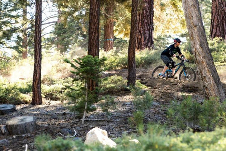 Man mountain biking in rough terrain through the woods in Big Bear Lake, California