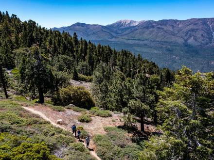 A family of three hikes along a trail in Big Bear Lake, CA through a forested valley. A mountain is in the distance.