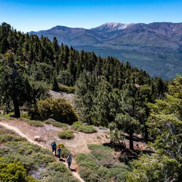 A family of three hikes along a trail in Big Bear Lake, CA through a forested valley. A mountain is in the distance.