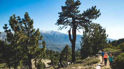 A family hikes along a trail through the mountains at Big Bear in the Spring
