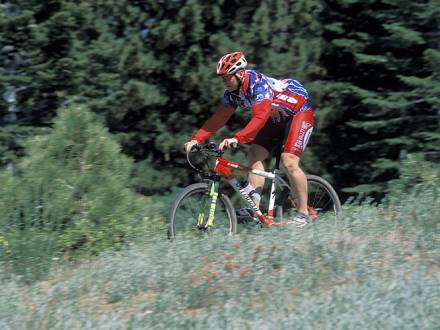 Mountain biker on the trails