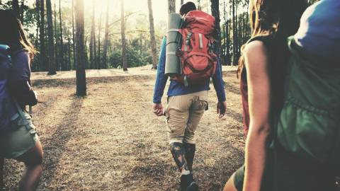 Stock Photo: Backpackers walk away from the camera into the woods.