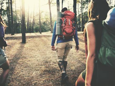 Stock Photo: Backpackers walk away from the camera into the woods.